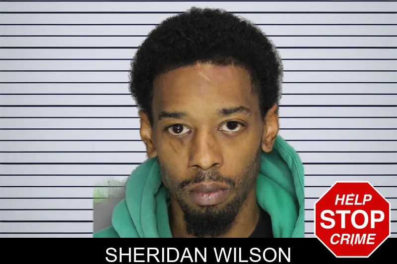 Sheridan Wilson mugshot