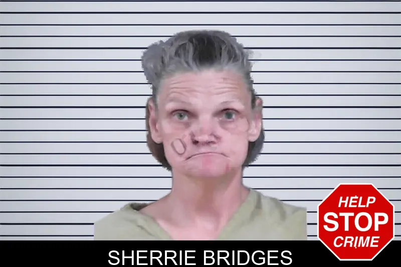 Sherrie Bridges mugshot