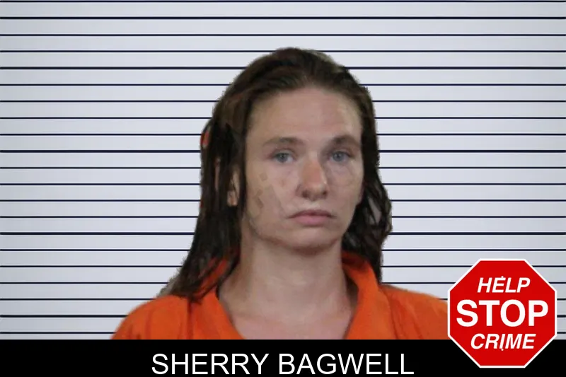 Sherry Bagwell mugshot