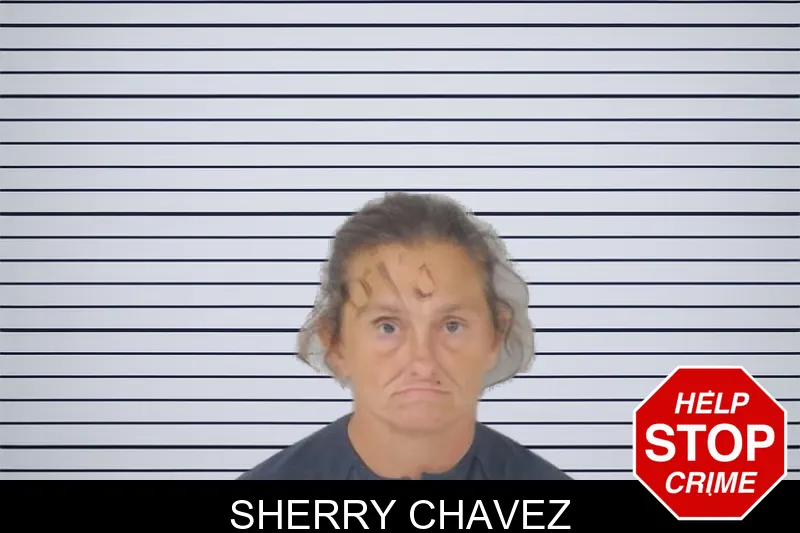 Sherry Chavez mugshot