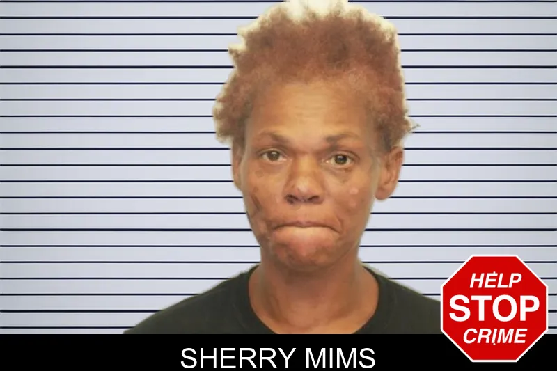 Sherry Mims mugshot