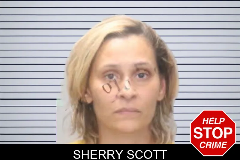Sherry Scott mugshot