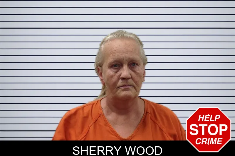 Sherry Wood mugshot
