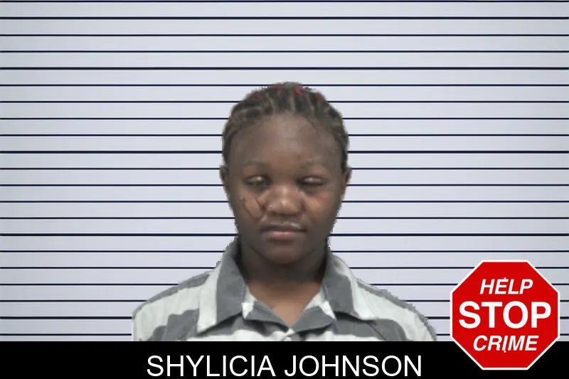 Shylicia Johnson mugshot