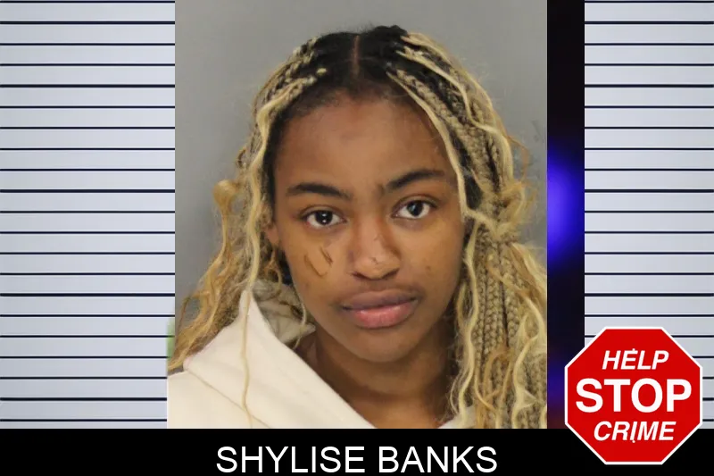 Shylise Banks mugshot