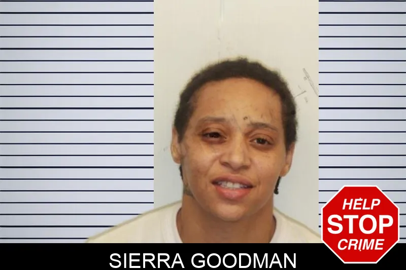 Sierra Goodman mugshot