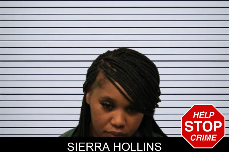 Sierra Hollins mugshot