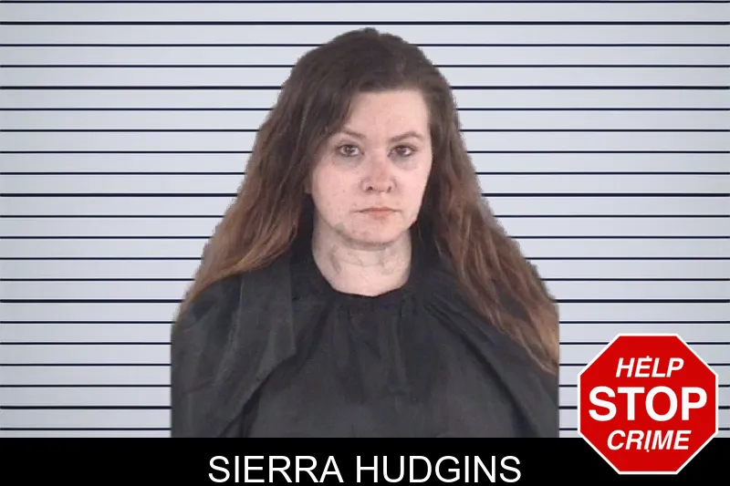 Sierra Hudgins mugshot