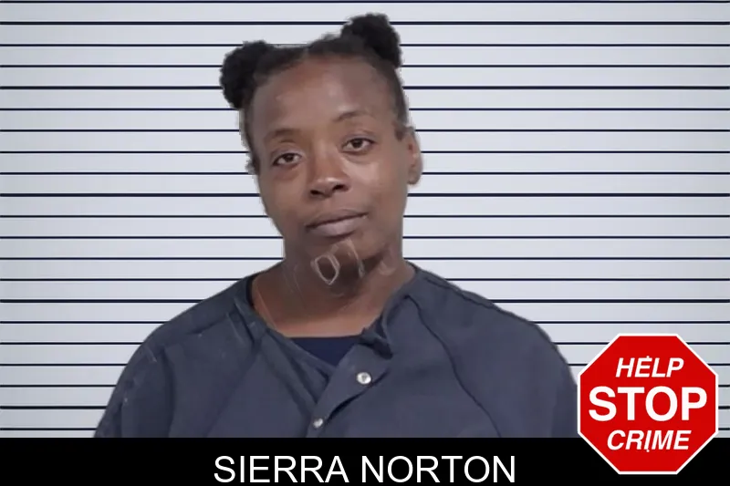 Sierra Norton mugshot