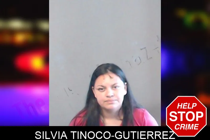 Silvia Tinoco-Gutierrez mugshot