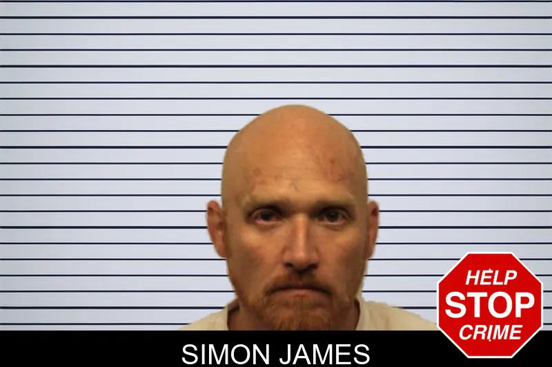 Simon James mugshot