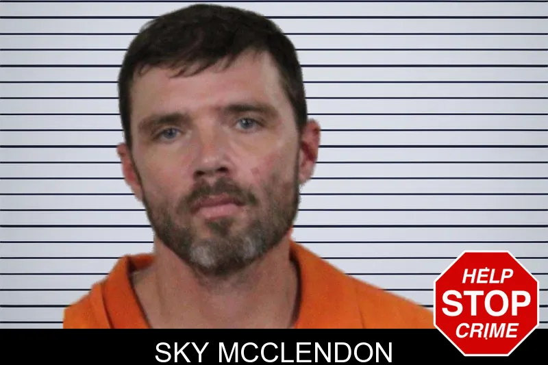 Sky McClendon mugshot