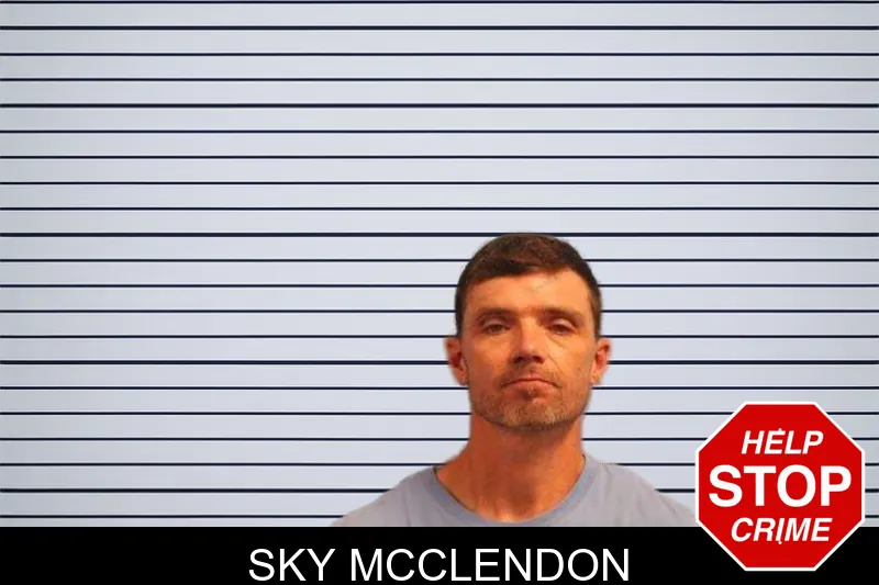 Sky McClendon mugshot