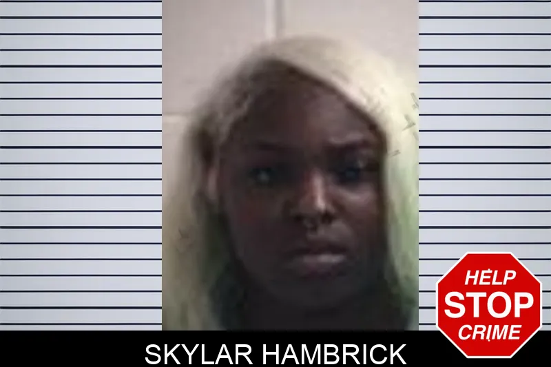 Skylar Hambrick mugshot