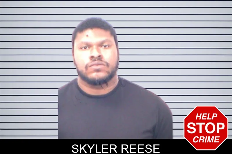Skyler Reese mugshot