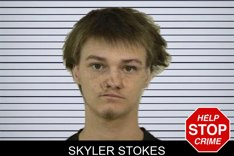 Skyler Stokes mugshot