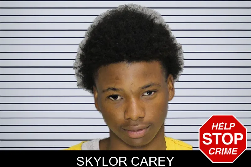 Skylor Carey mugshot