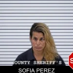 Sofia Perez mugshot