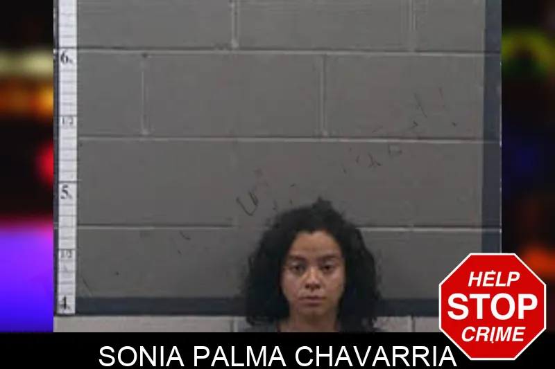 Sonia Palma Chavarria mugshot