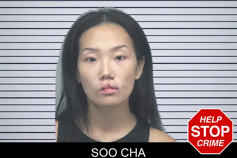 Soo Cha mugshot