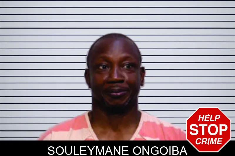 Souleymane Ongoiba mugshot – Bartow County , Georgia Souleymane Ongoiba mugshot