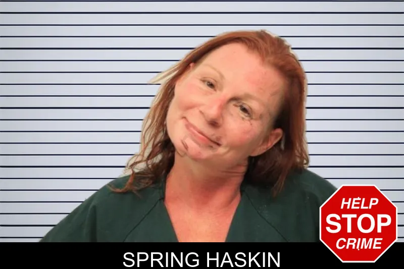 Spring Haskin mugshot