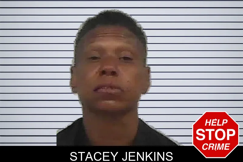 Stacey Jenkins mugshot