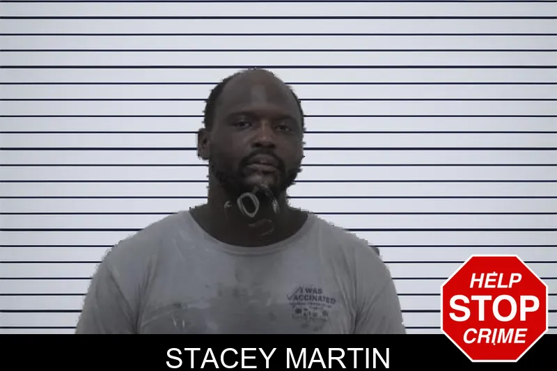 Stacey Martin mugshot