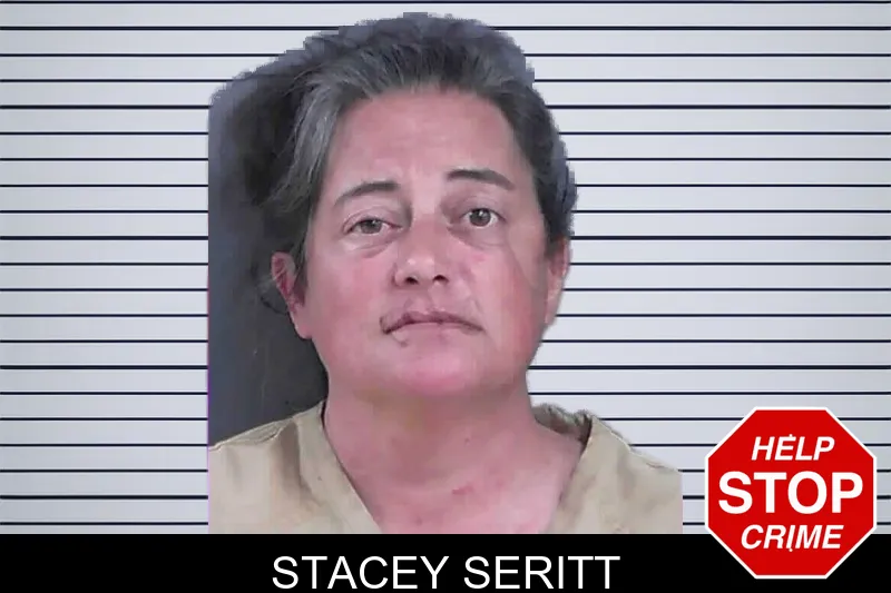 Stacey Seritt mugshot