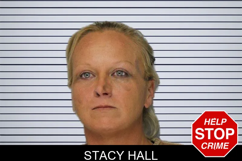 Stacy Hall mugshot