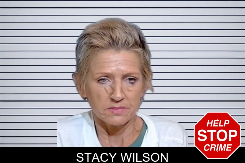 Stacy Wilson mugshot