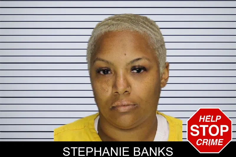 Stephanie Banks mugshot