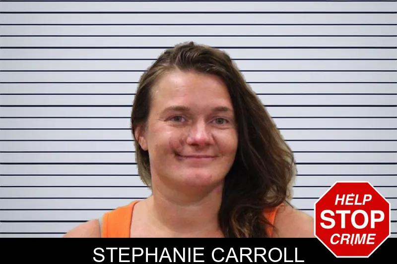 Stephanie Carroll mugshot