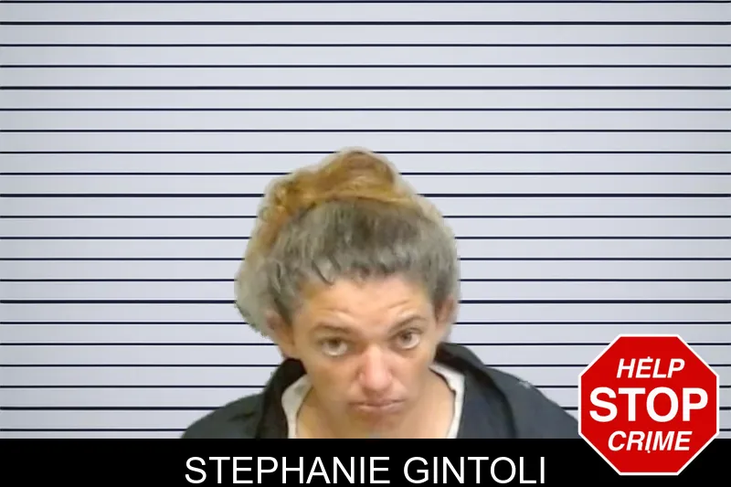 Stephanie Gintoli mugshot