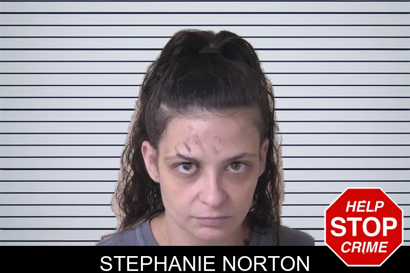 Stephanie Norton mugshot