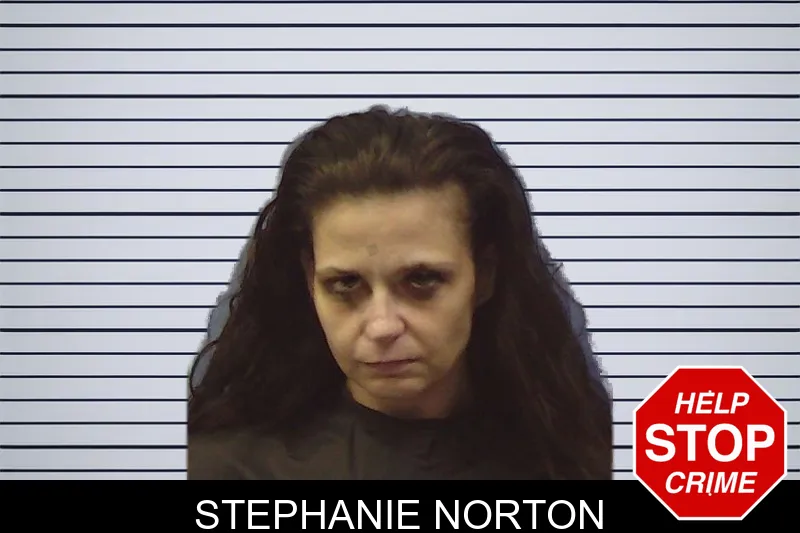 Stephanie Norton mugshot