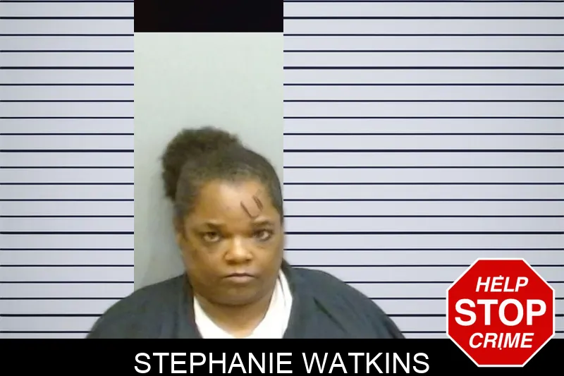 Stephanie Watkins mugshot