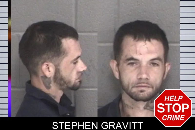 Stephen Gravitt mugshot