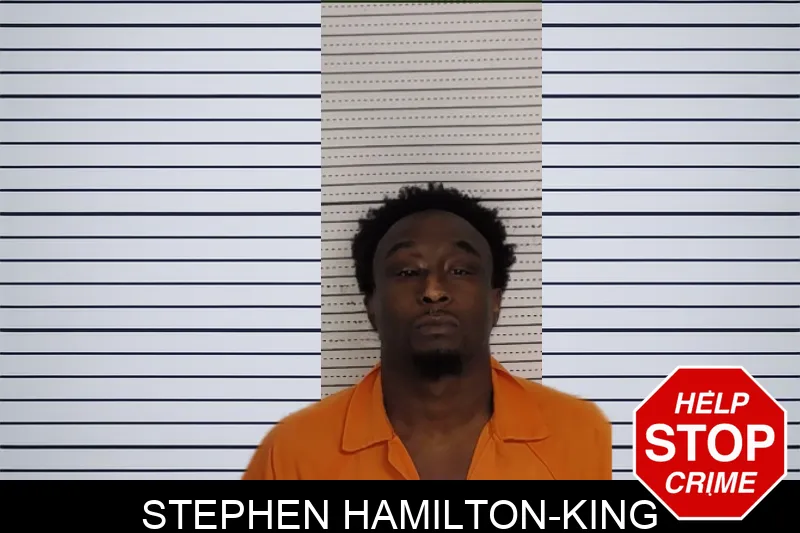 Stephen Hamilton-King mugshot