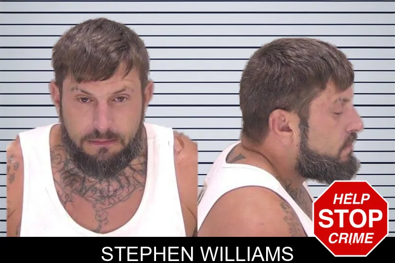 Stephen Williams mugshot