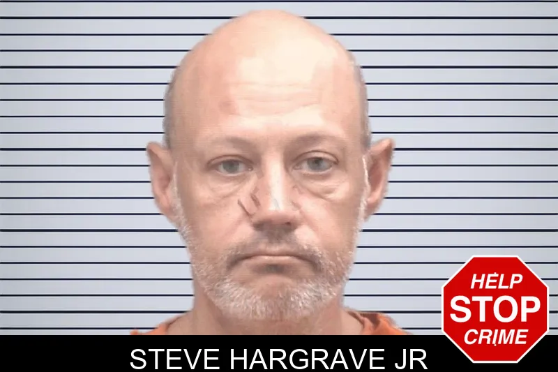 Steve Hargrave Jr mugshot