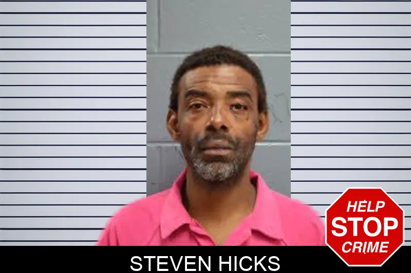 Steven Hicks mugshot