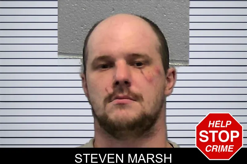 Steven Marsh mugshot