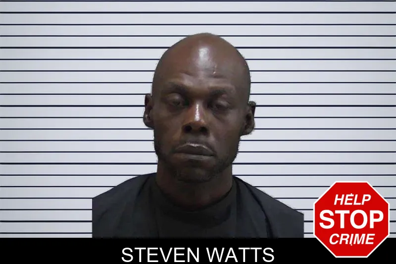 Steven Watts mugshot
