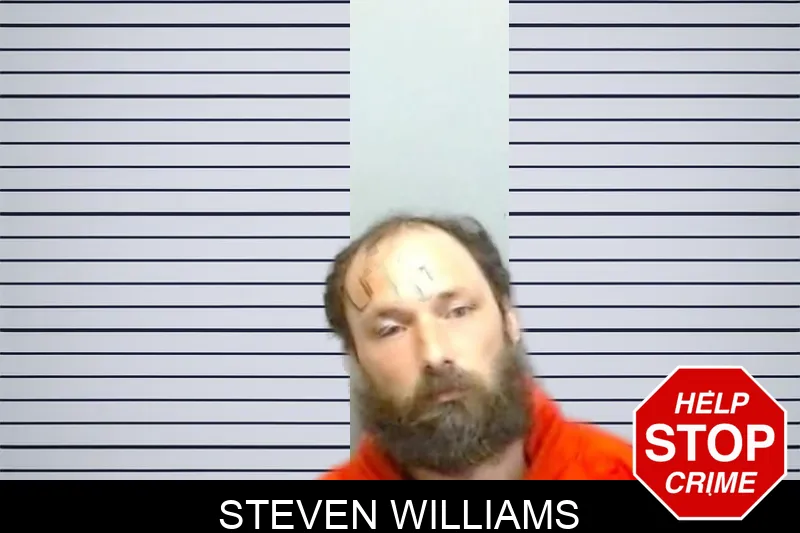 Steven Williams mugshot