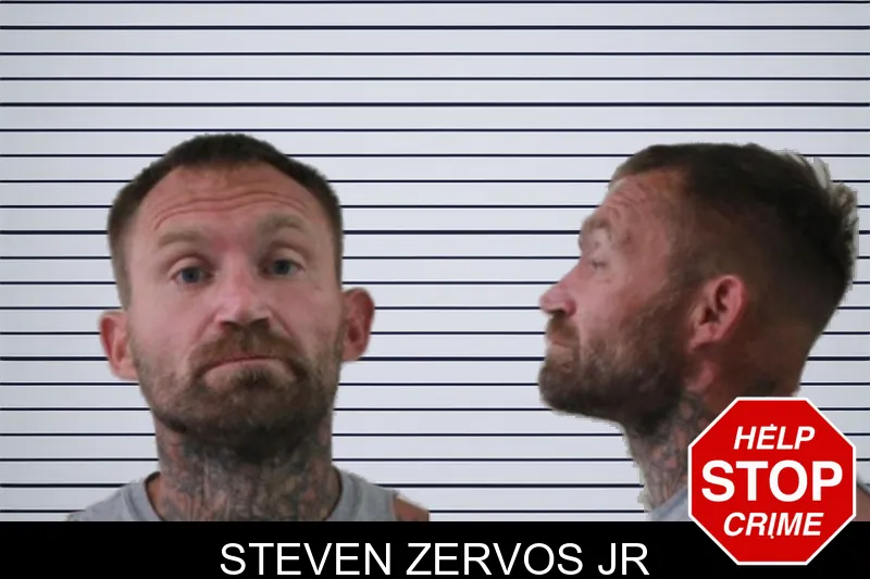 Steven Zervos Jr mugshot