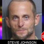Stevie Johnson mugshot
