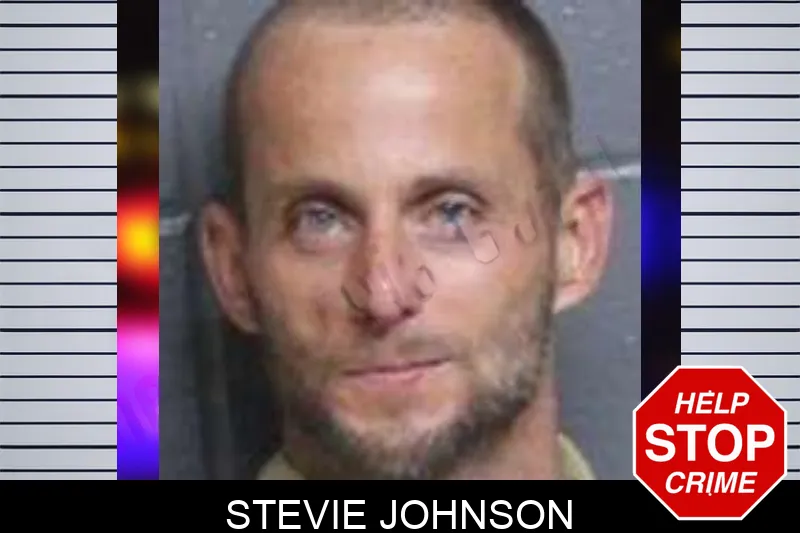 Stevie Johnson mugshot