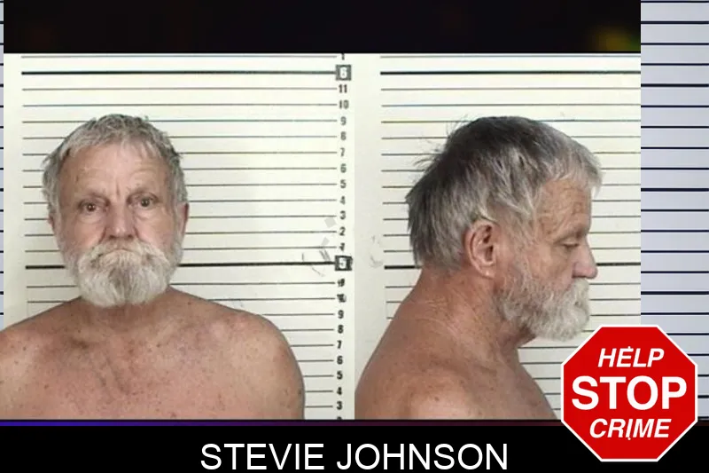 Stevie Johnson mugshot