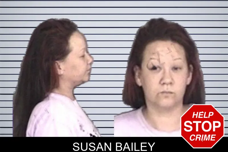 Susan Bailey mugshot